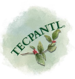 TECPANTL®